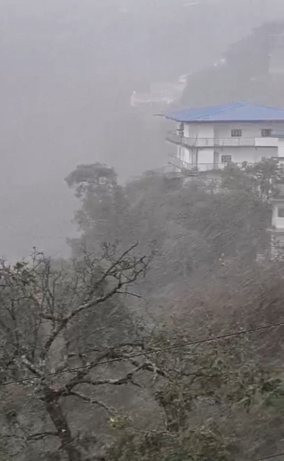 उत्तराखंड में बारिश-बर्फबारी: सफेद चादर में लिपटे पहाड़, चकराता से मुखबा तक दिखा खूबसूरत नज़ारा, झूमे सैलानी