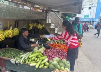 पौड़ी गढ़वाल में फल-सब्जियों पर सख्ती: रसायनों के खिलाफ जागरूकता और सैंपलिंग अभियान तेज