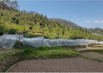 सेब की बागवानी से बदली जमरिया गांव की तस्वीर… दो किसानों ने लिखी आत्मनिर्भरता की नई कहानी