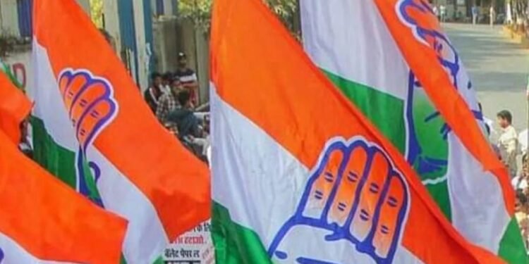 किच्छा और सिरौलीकलां में कांग्रेस का दबदबा, दोनों नगरपालिकाओं पर कब्जा; राजेश प्रताप और राशिदा ने दर्ज की जीत